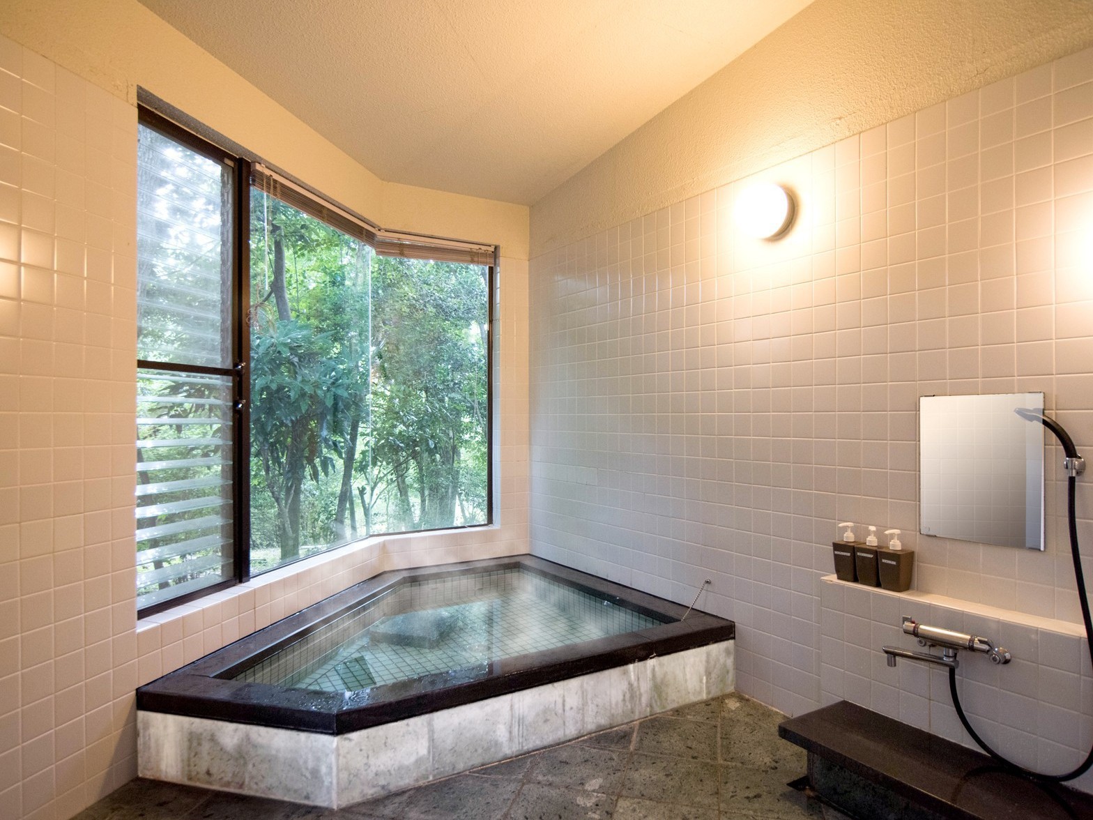 Pension Memoria Main Image Pension Memoria, Izu