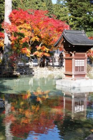 紅葉。当館より徒歩５分龍泉寺境内