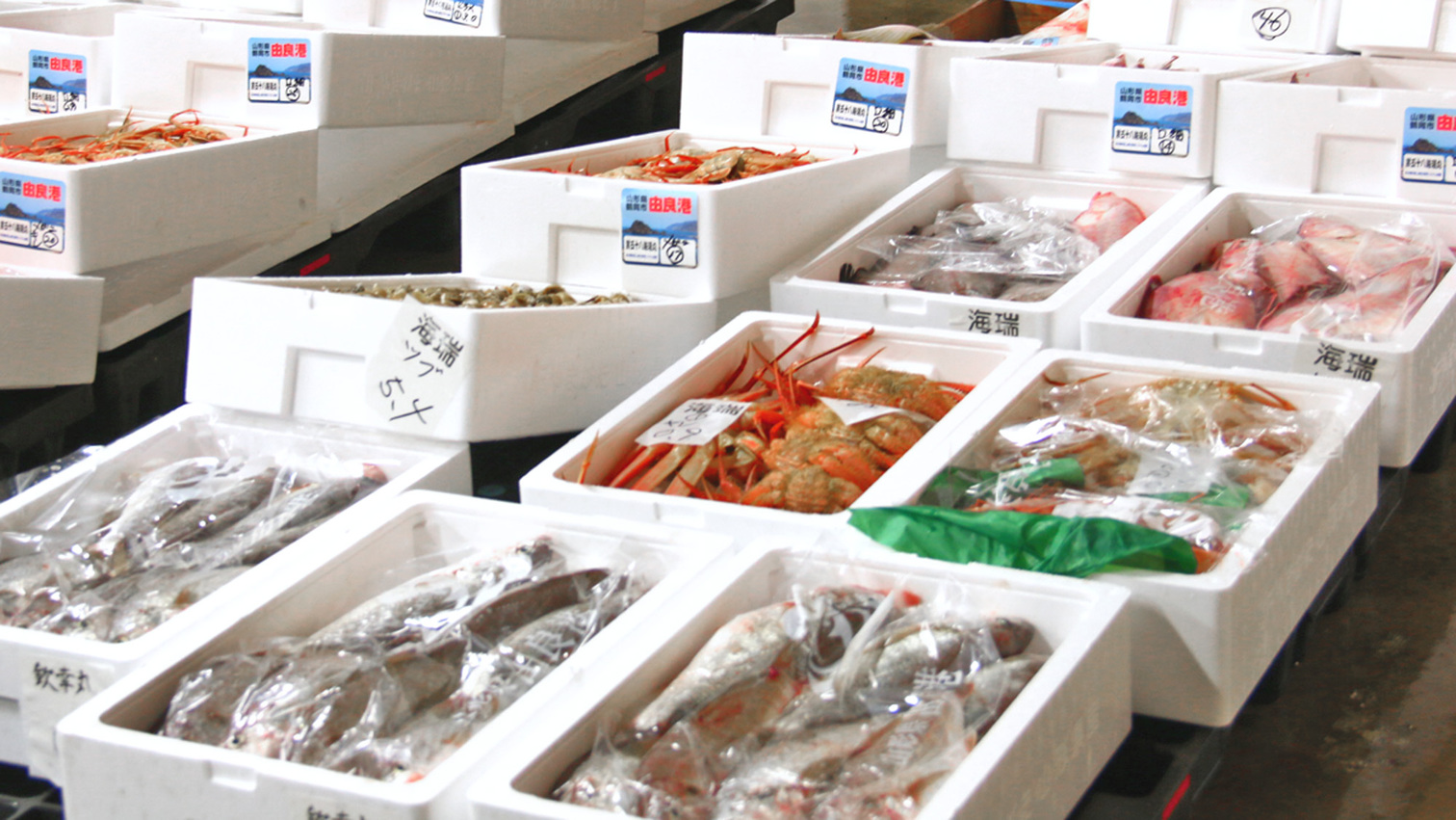 当館の魚介類は、由良漁港より直接仕入れているため活きの良い新鮮な海の幸をお楽しみいただけます。