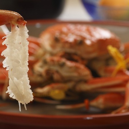 越前がにイメージ