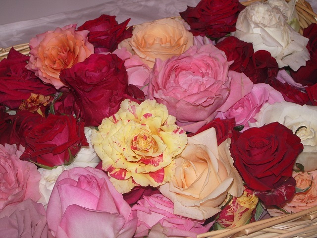 ばら風呂のバラ