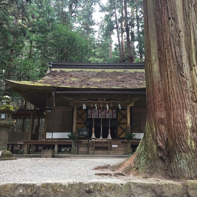 Minshuku Muro Image 3, Uda, Japan