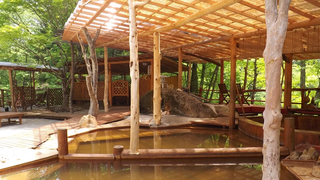 Akashi Onsen Image 5, Fujikawa, Japan