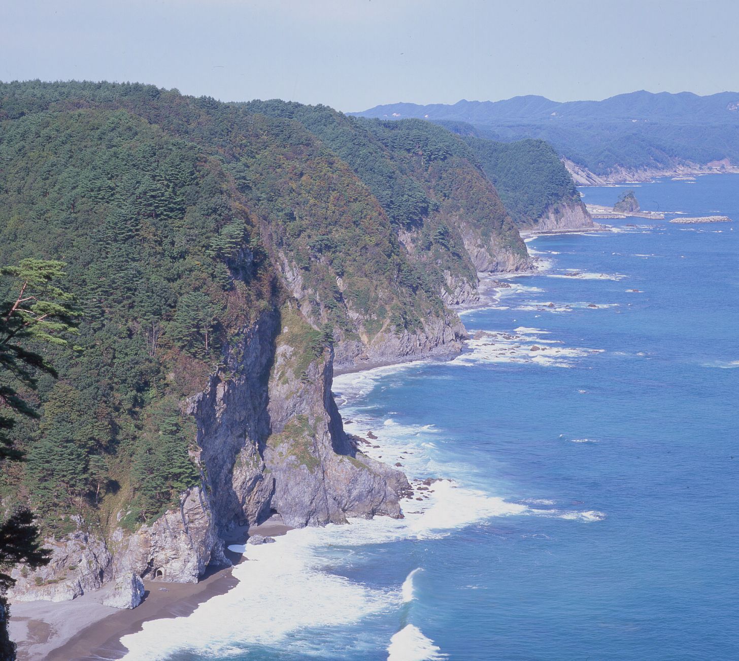 田野畑村の南の海岸『鵜の巣断崖』