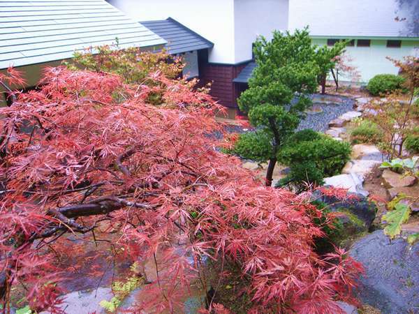 48・お部屋からはもちろん紅葉が楽しめます【〜4名様：しゃくなげ23号館−スウィートⅢ】