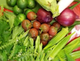 自然の意めぐみたっぷり・えひめ産の野菜