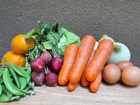 自然の意めぐみたっぷり・えひめ産の野菜