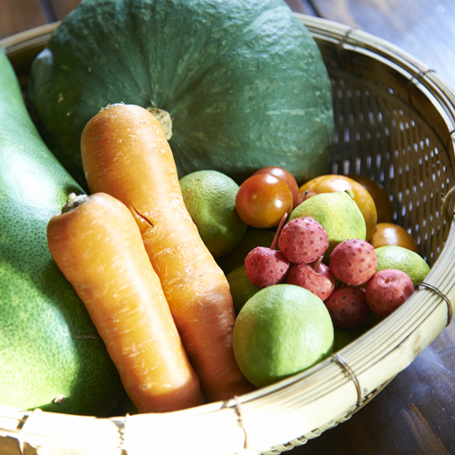 採れたて野菜（夏季）