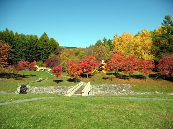 鹿の沢川上流公園