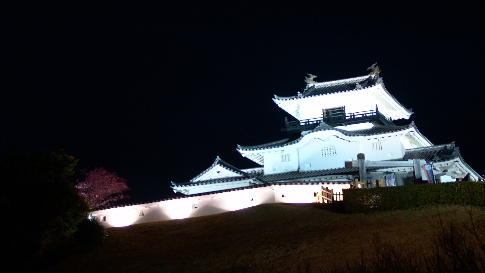 掛川城ライトアップ