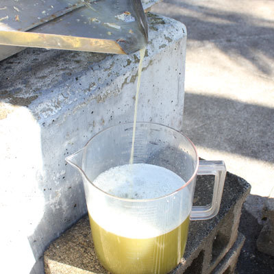 サトウキビシュースが搾れていくよ