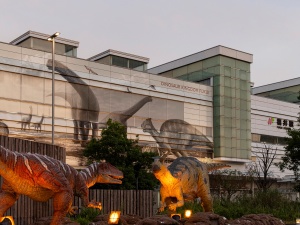 おすすめプラン