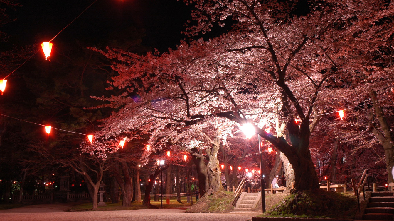 千秋公園桜まつり【夜】