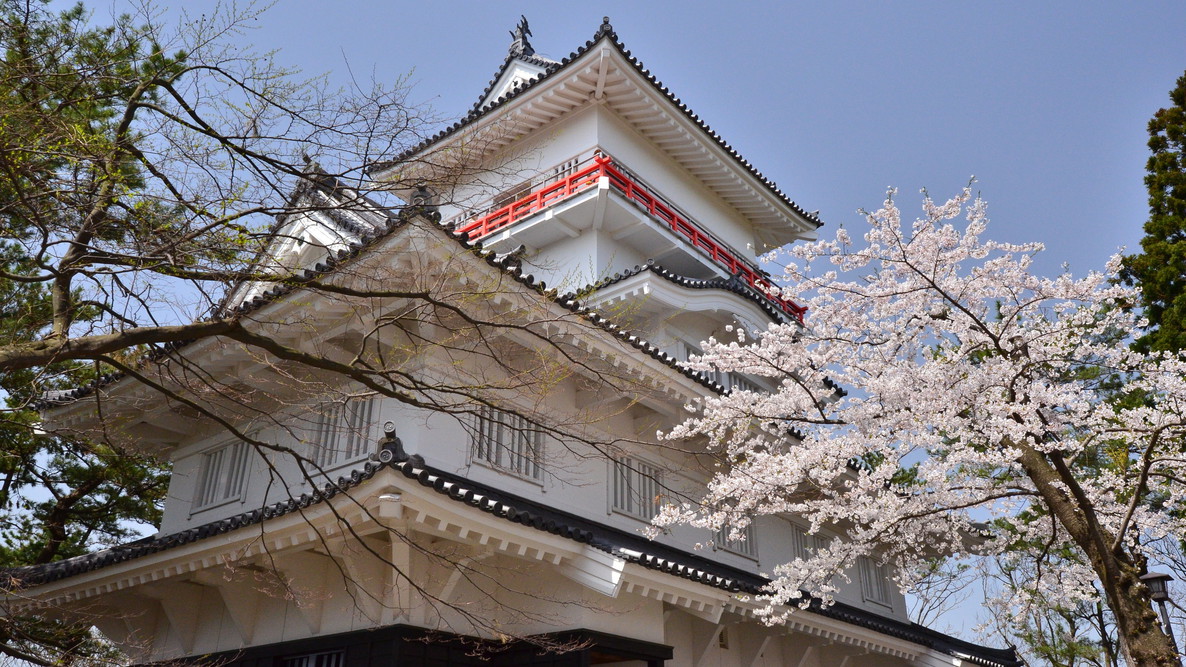 千秋公園桜まつり【昼】