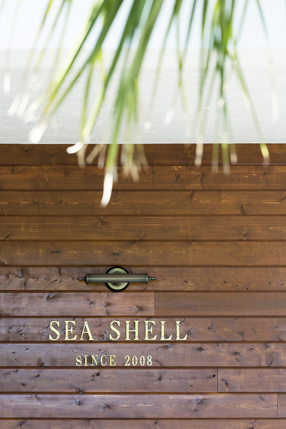 Sea Shell Since 2008..