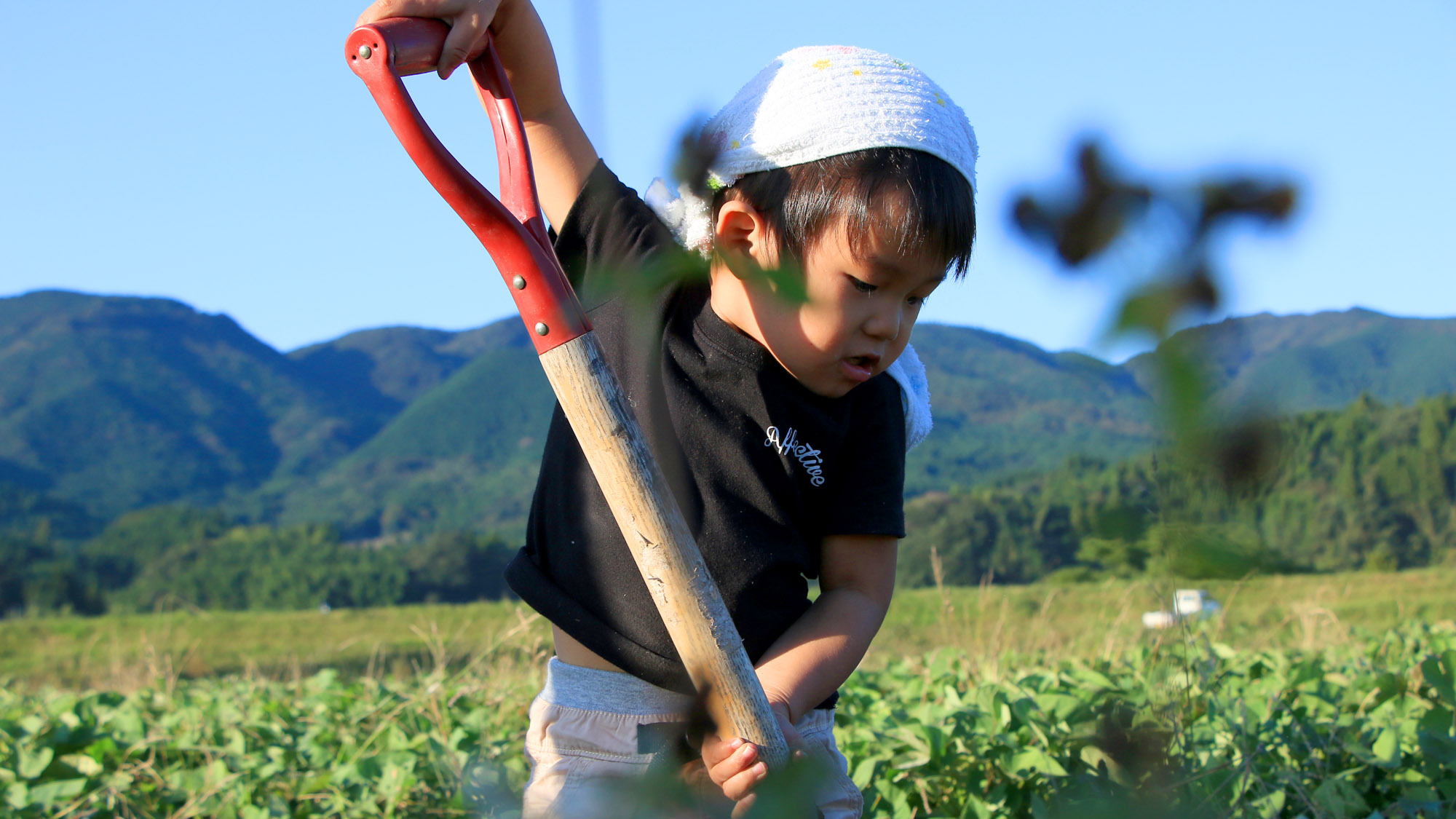 子どもたちもお手伝い頑張ってます！