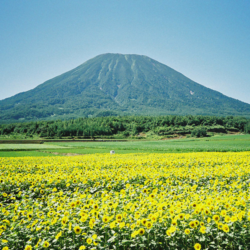 This photo about Niseko Central Hirafu House shared on HyHotel.com