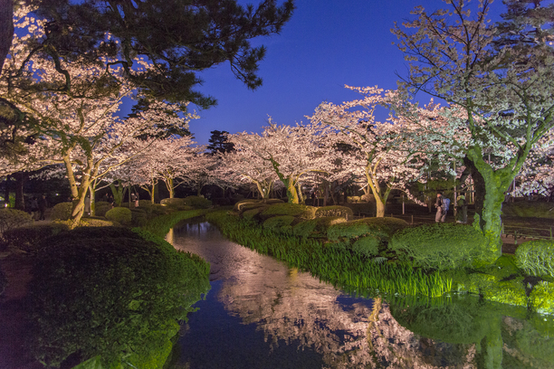 「兼六園の春」池に映る美しい桜。
