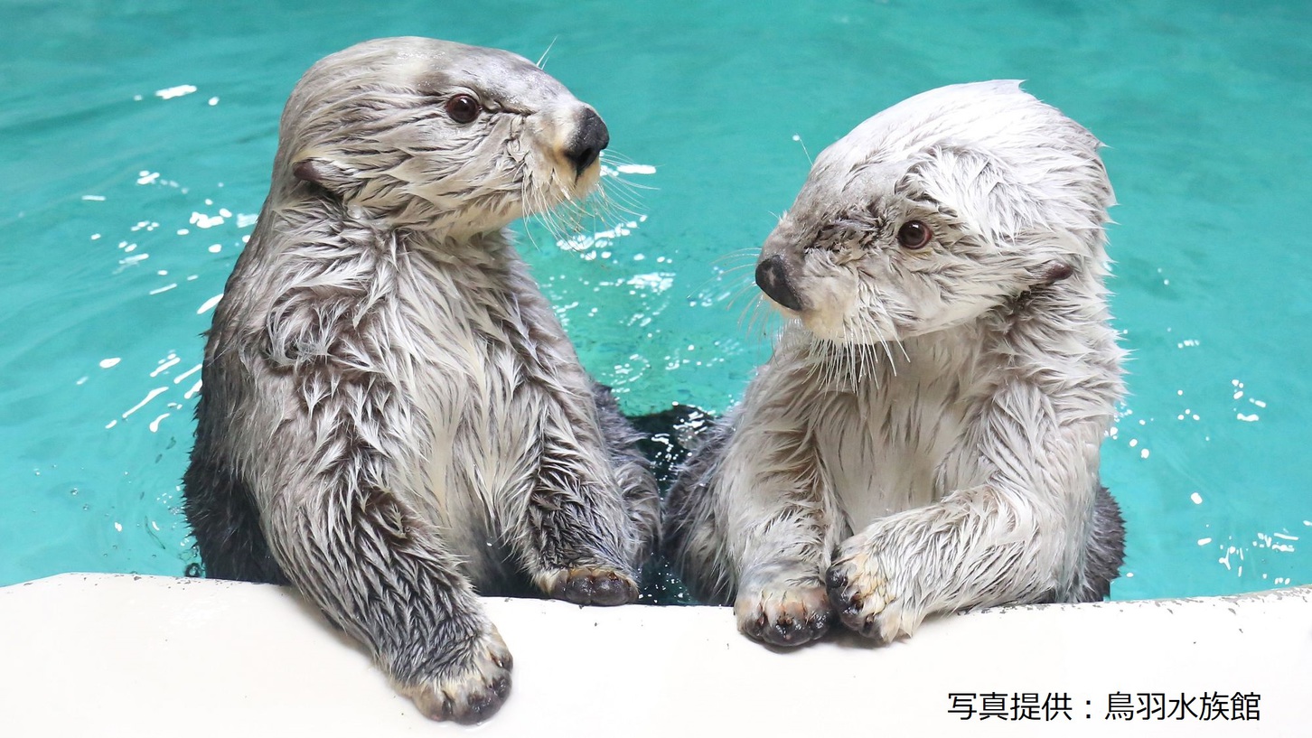 鳥羽水族館