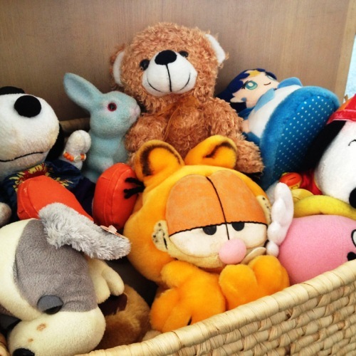 ぬいぐるみの貸し出しも行っております♪