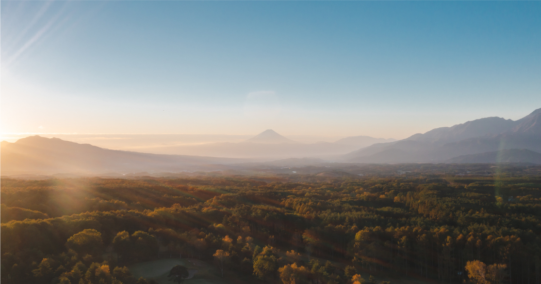 富士山と森