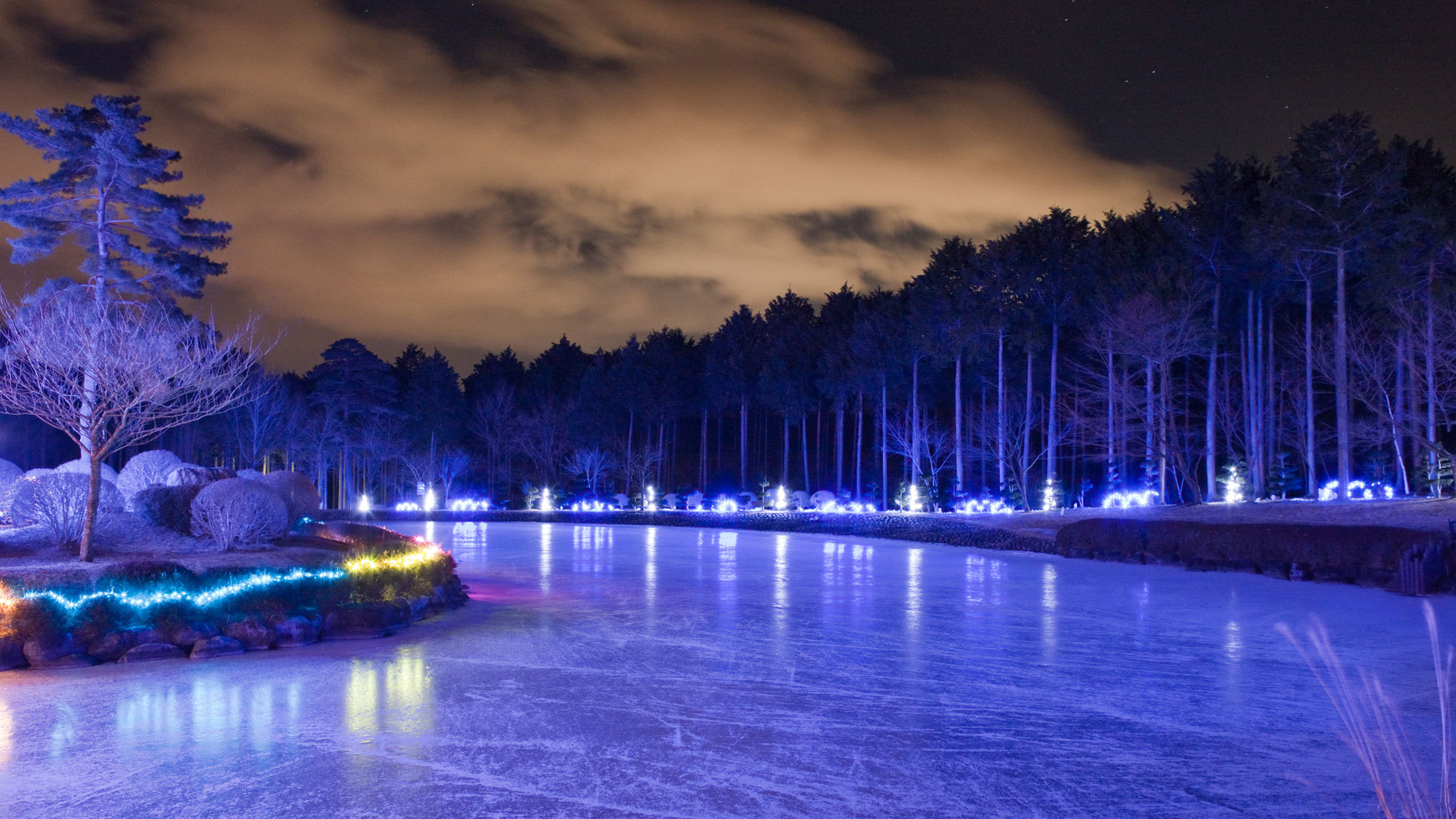 *冬のイルミネーション/イルミネーションされた夜の大芝湖は幻想的な雰囲気