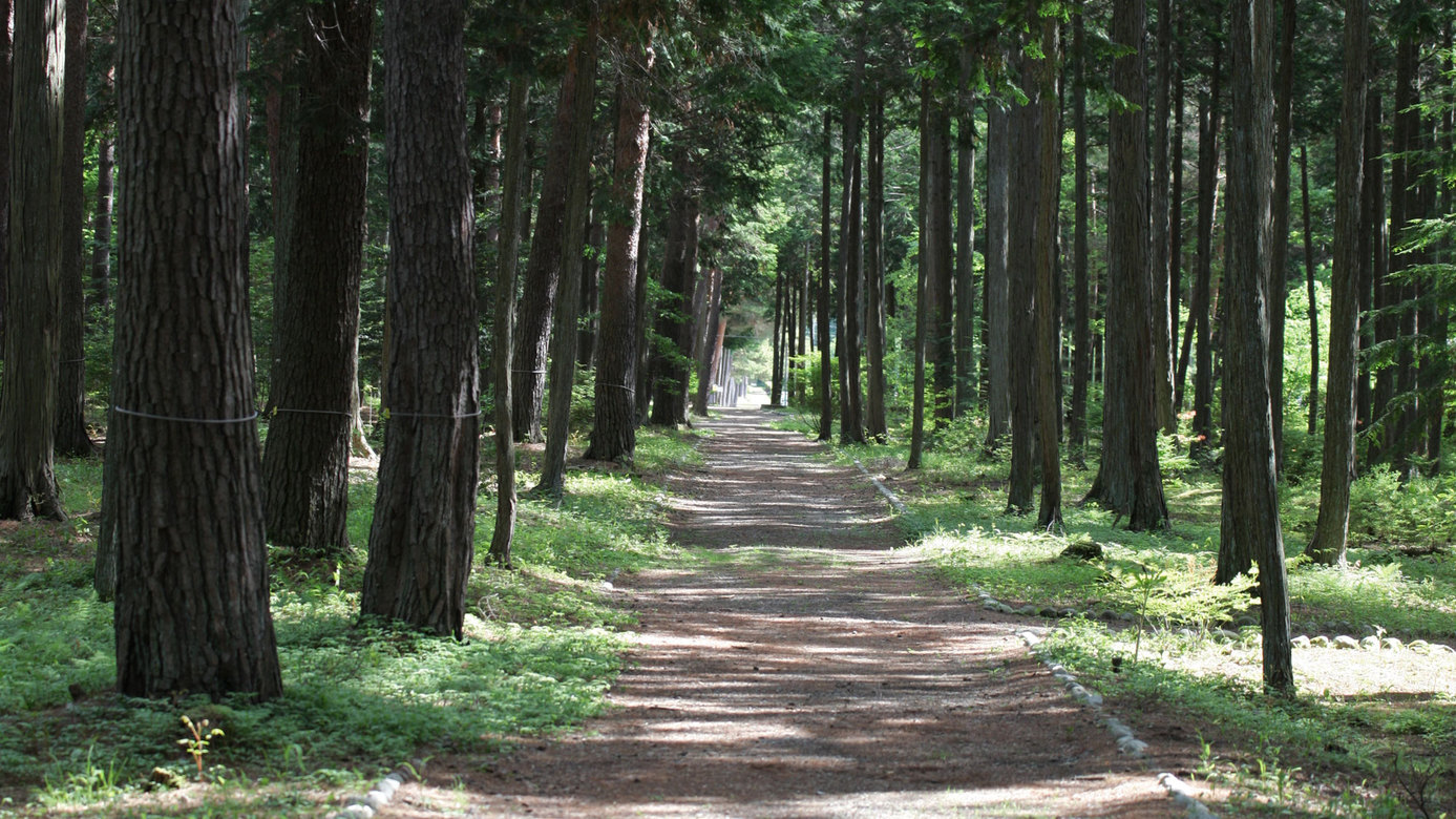 *大芝高原内施設《大芝公園》/緑の木々に癒される、落ち着いた時間をお過ごしいただけます