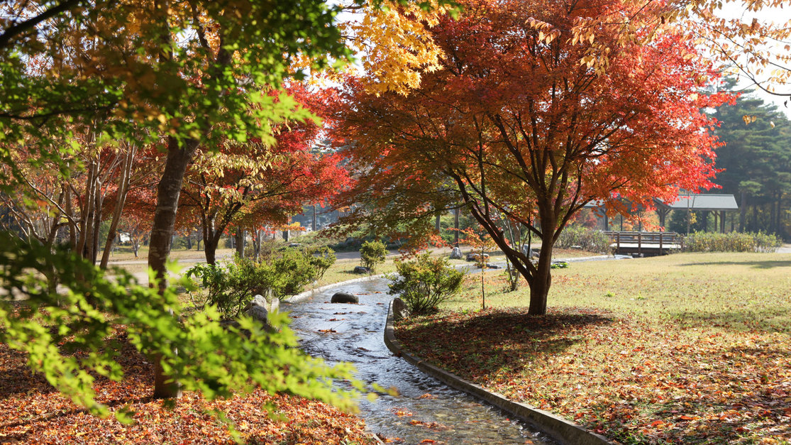 *秋の大芝高原/大芝荘周辺が色鮮やかな紅葉に包まれる季節。