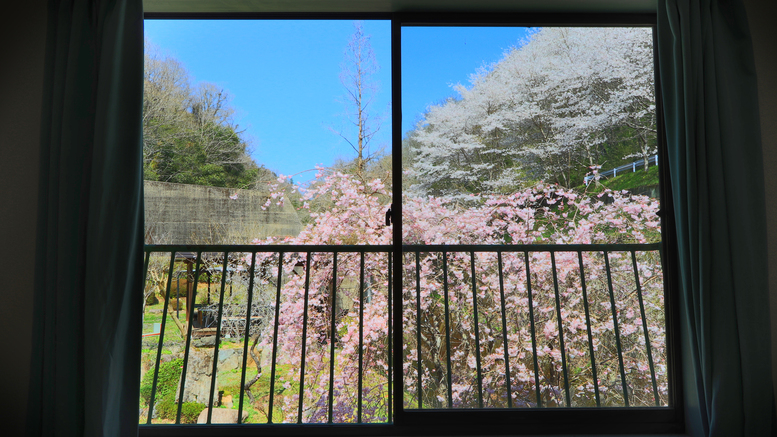 【春-客室からの眺望】この季節だけの特別な景色です。中庭を眺めると華やかな桜が心を癒してくれます