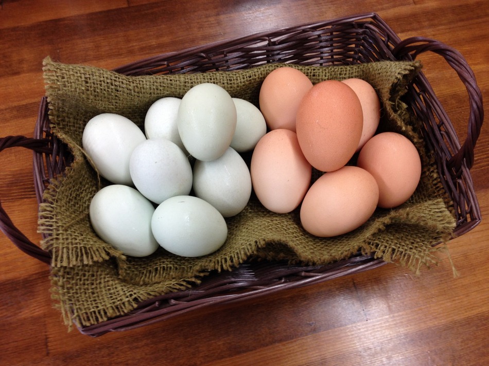 Ishinomaki Apartment Hotel Image 5, Ishinomaki, Japan