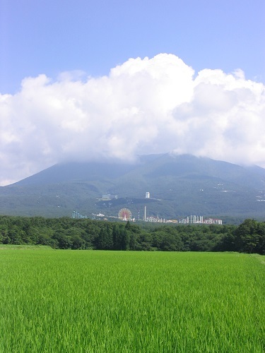 夏の那須高原