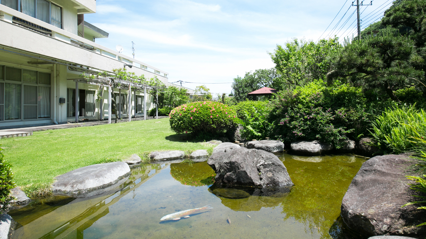  お庭の池には鯉も泳いでます