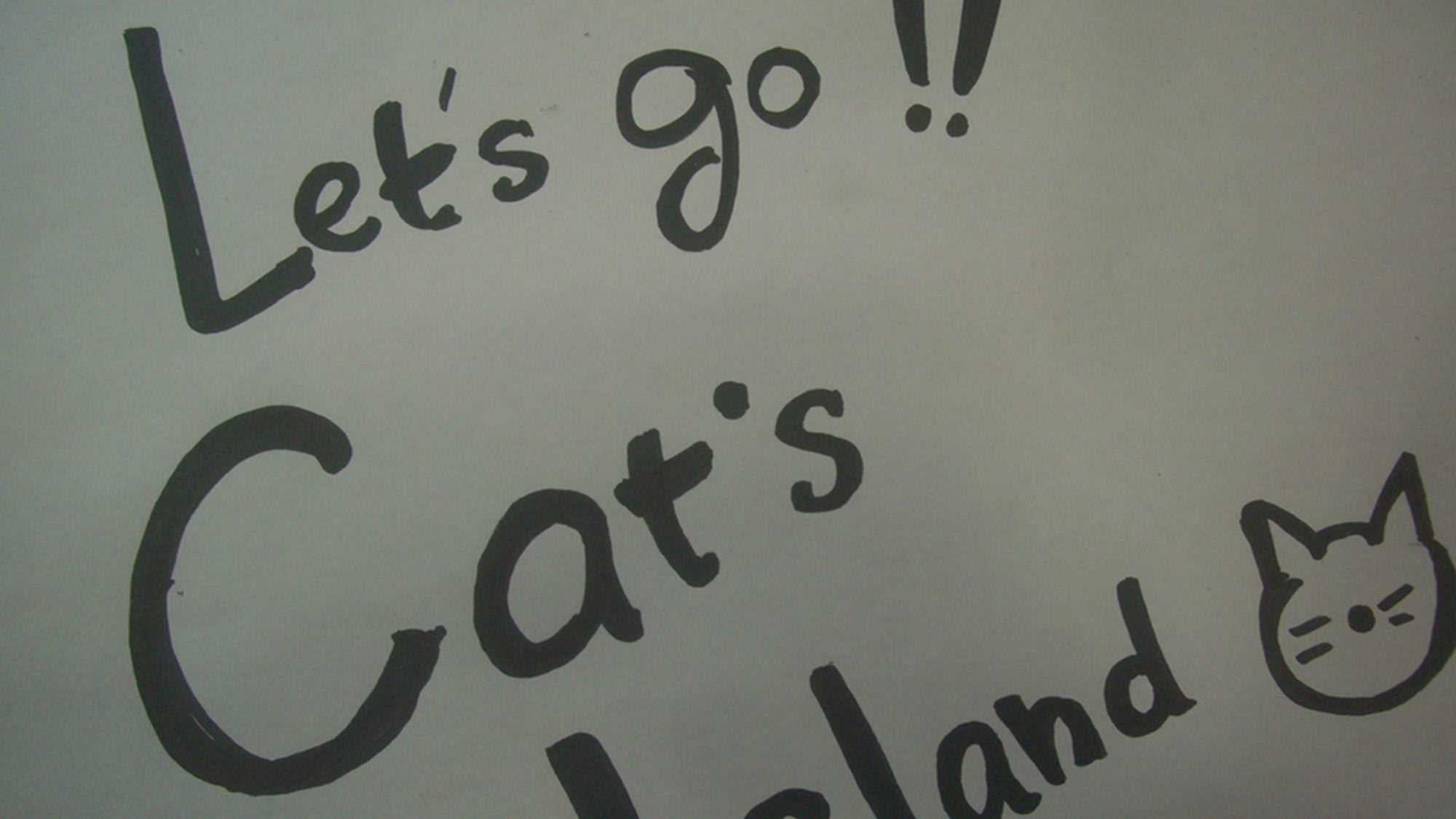 ・猫好きさん必見！猫の島『田代島』へは石巻駅からフェリーでアクセス