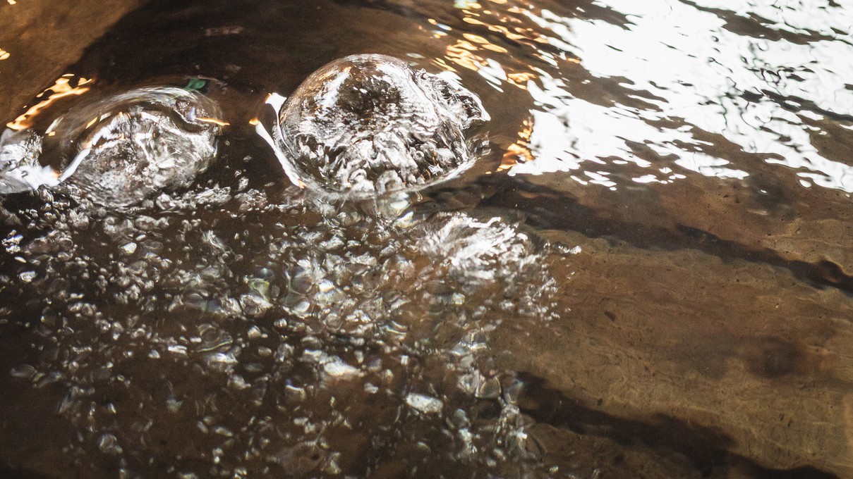 蔦温泉旅館-足元から源泉湧出の自噴温泉-のnull