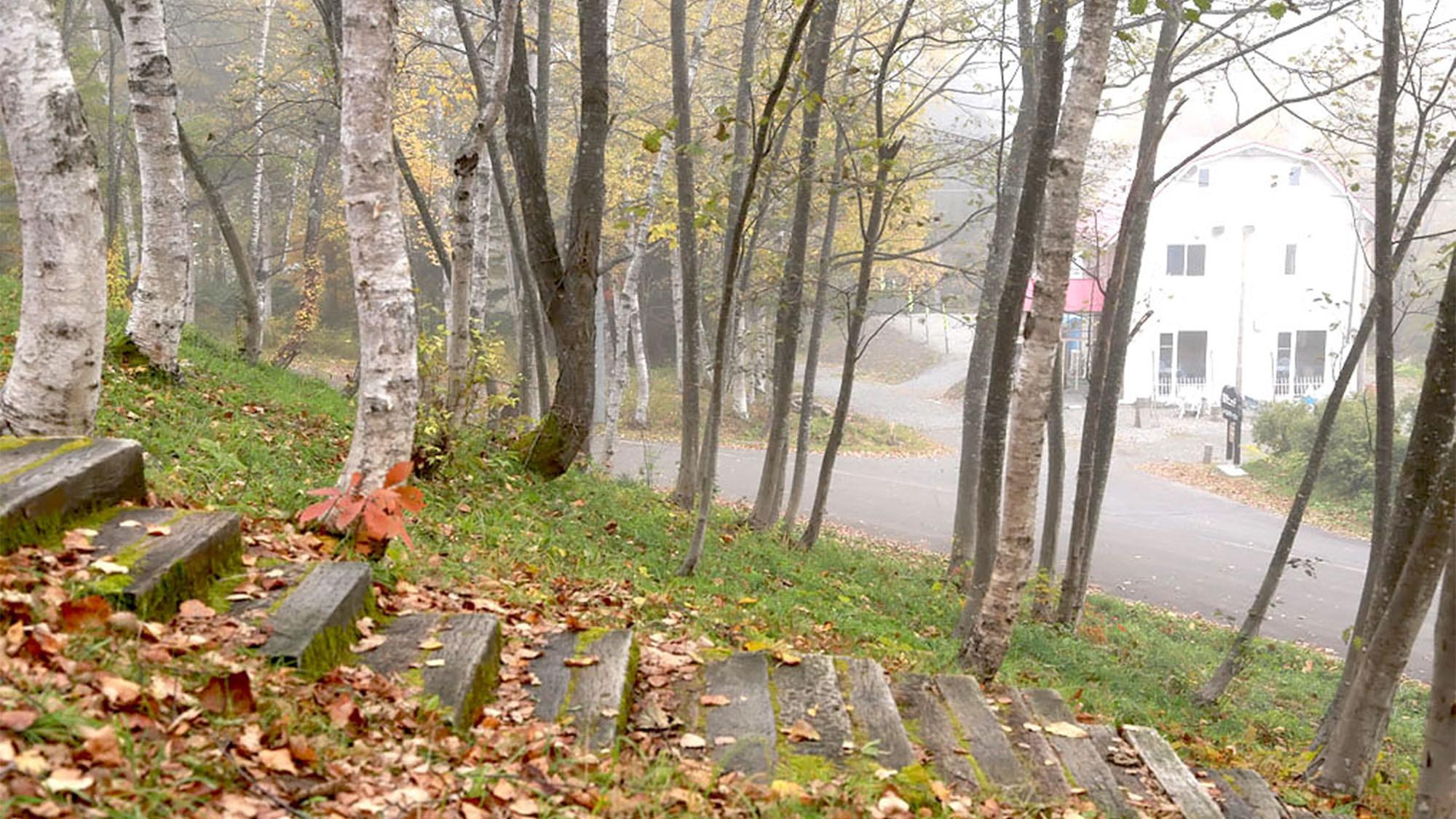 ・白樺の木と塩狩ヒュッテ宿主が北海道の雄武（おうむ）町のトドマツの丸太を使用して手作りした宿です