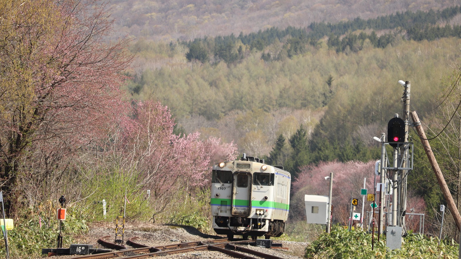 春の塩狩峠