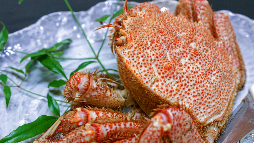 #夕食＿毛ガニや栗ガニは期間限定！冬の気仙沼も『うまいもの』がたっくさん♪