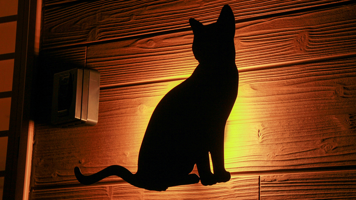 #外観＿猫のポイントが目印！アットホームな寛ぎの宿、黒潮へようこそ♪