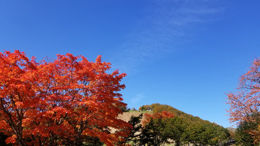 秋の天狗山