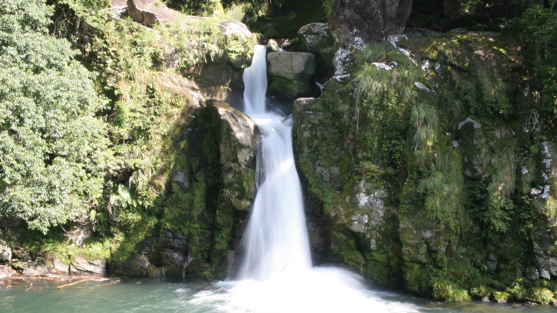 観音滝公園：当館よりお車で約24分。観音滝から聞こえる滝の音が癒してくれます。
