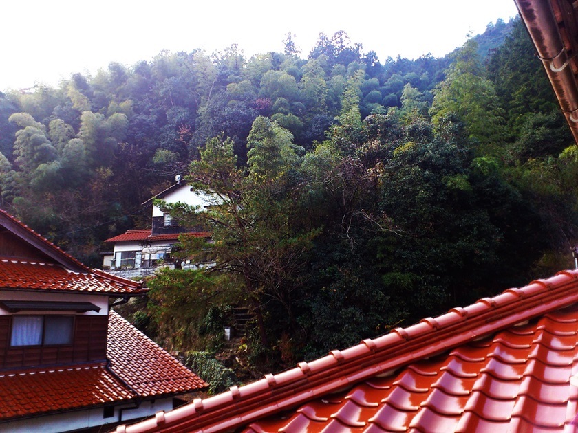 sight2
