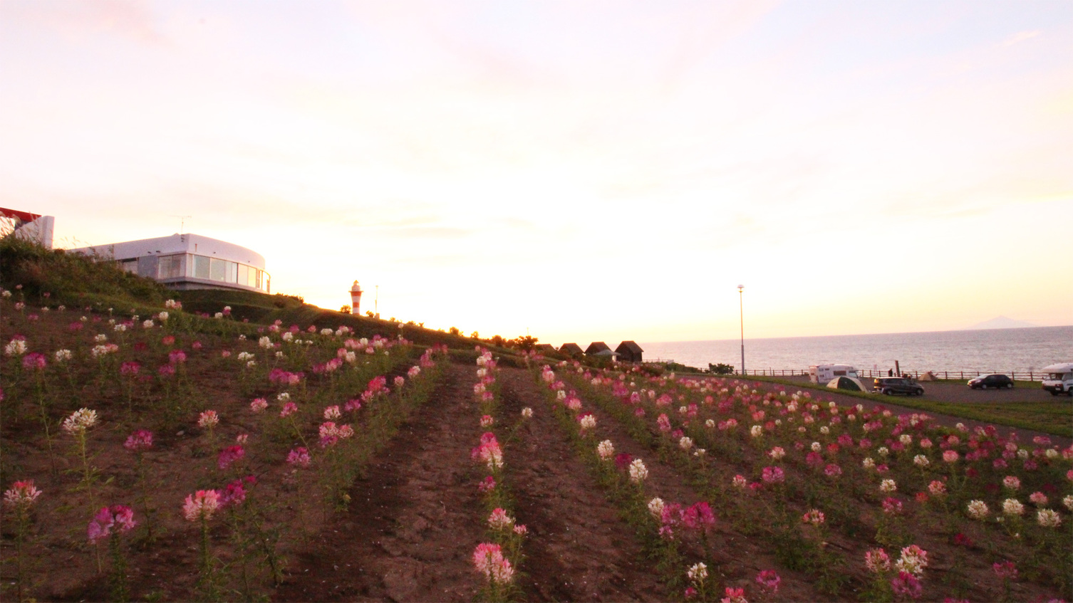*みさき台公園／夕暮れ時とお花畑の美しい風景。こんな景色がすぐ見られるのも北海道ならでは。