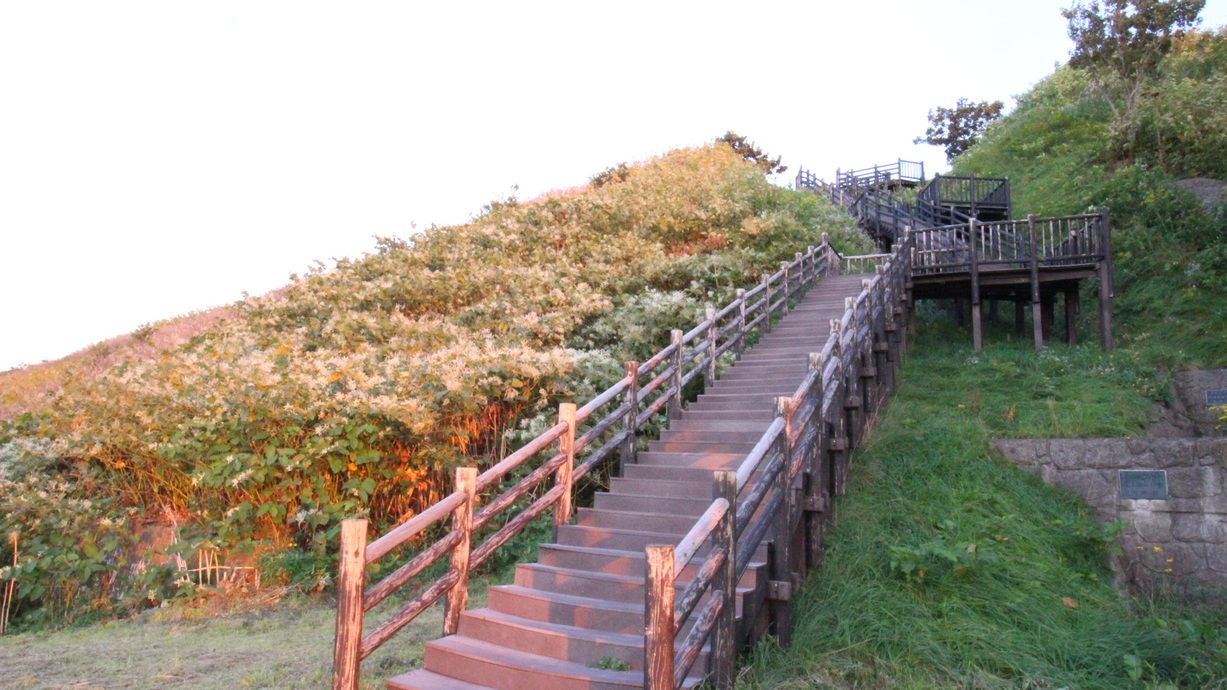 *みさき台公園／階段を登って行くと、さらに見晴らしの良い高台へと続いています。