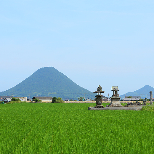 讃岐平野にそびる讃岐富士（飯野山）