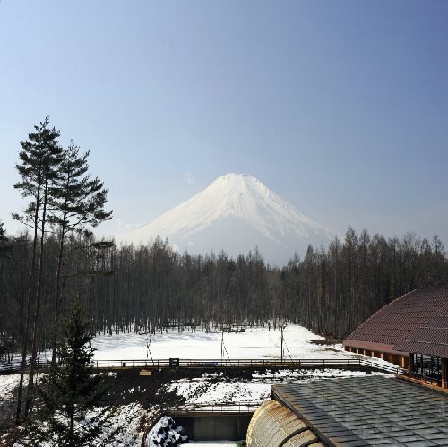 富士山（冬）