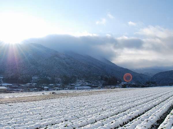 大原の雪景色