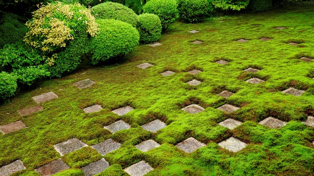 *【東福寺】紅葉とともに季節問わず人気な市松模様の庭。