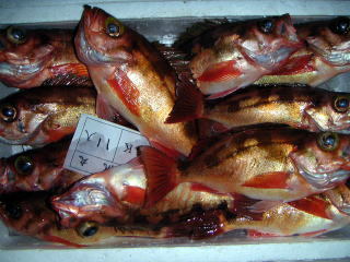 Sangoku Onsen Ryoshi no Yado Minshuku Nakajima Main Image Sangoku Onsen Ryoshi no Yado Minshuku Nakajima, Sakai-shi