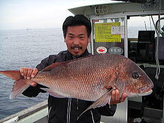 栄帆丸で鯛釣れた！