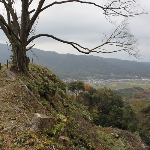 月山富田城跡④